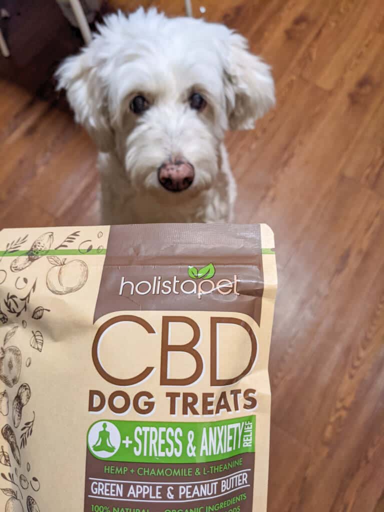 holistapet cbd dog treats for joint pain