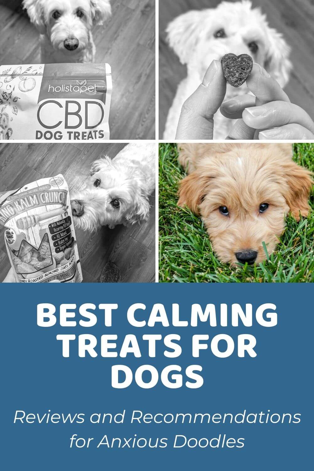 Best Calming Treats for Dogs_ Reviews and Recommendations for Anxious Doodles