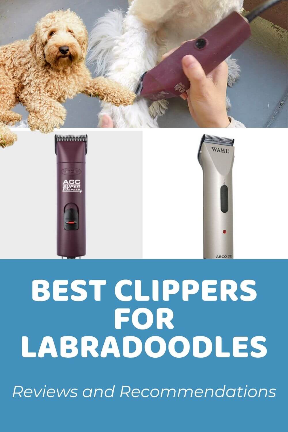 Best Clippers for Labradoodles: Reviews and Recommendations