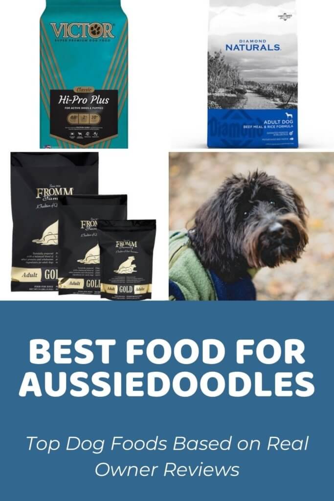 Best Dog Food for Aussiedoodles_ Top 5 Based on Real Owner Reviews