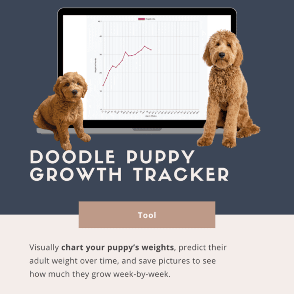 Doodle Puppy Growth Tracker tool for doodle owners
