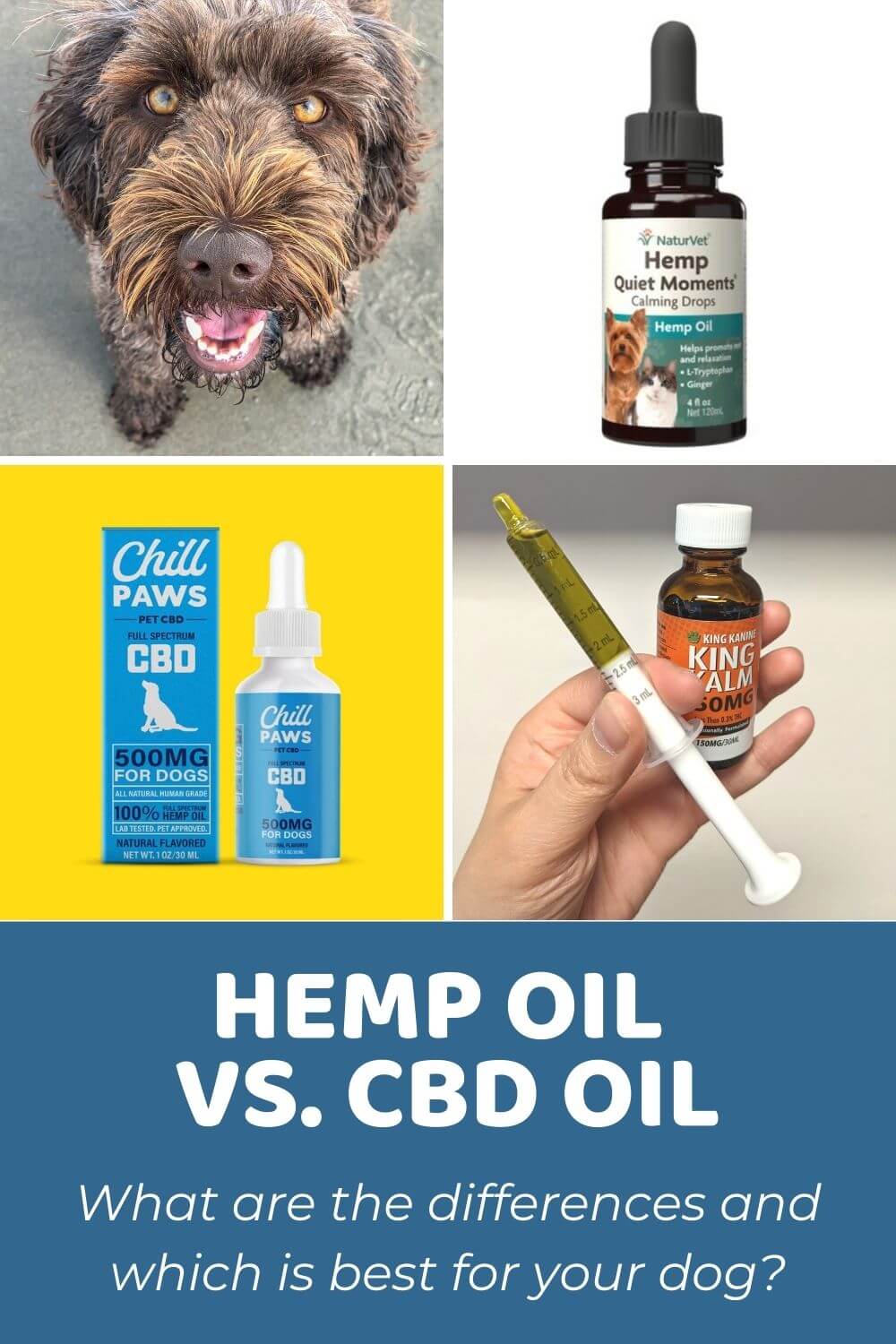 Hemp Oil vs. CBD Oil_ What are the differences and which is best for your dog_