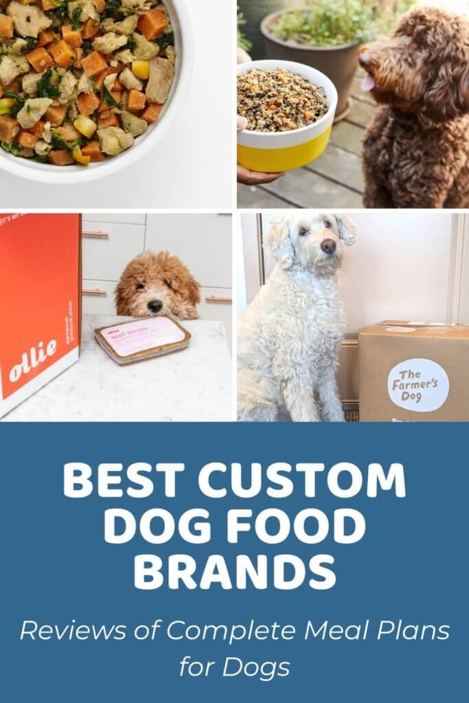 Best Custom Dog Food Brands_ Reviews of Complete Meal Plans for Dogs