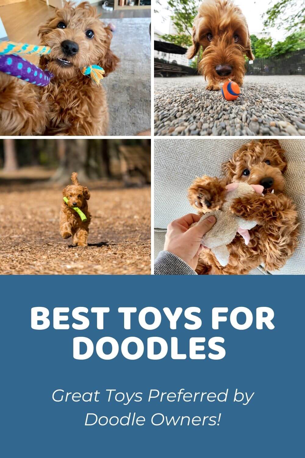 Best Toys for Goldendoodles (Preferred by Doodle Owners!)