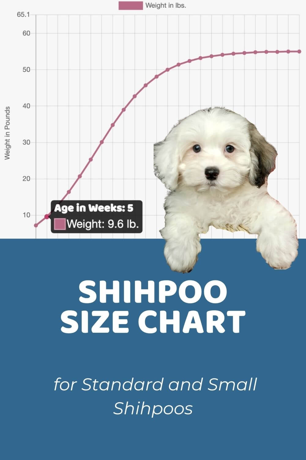 Shihpoo Size Chart for Small and Standard Shihpoos