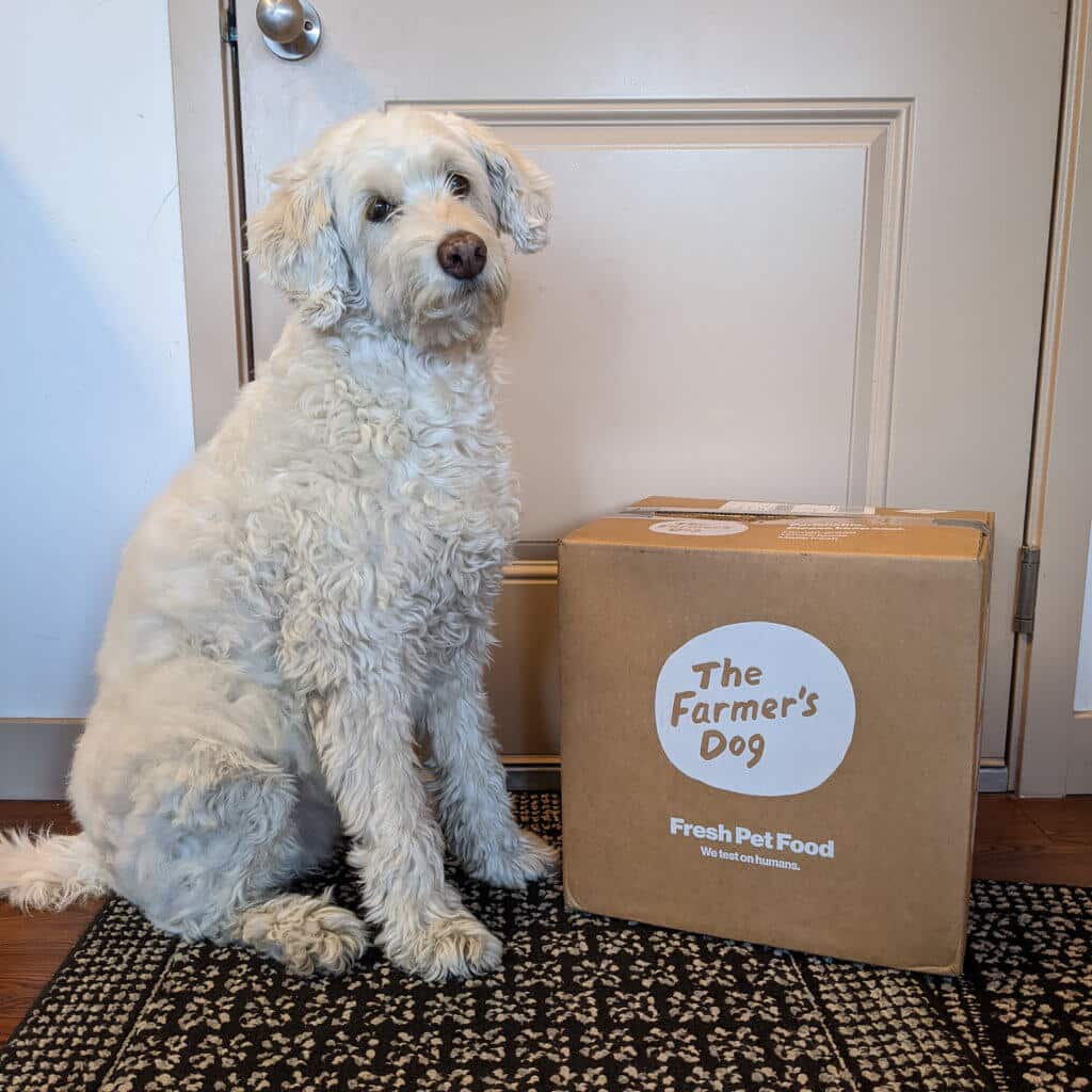 the farmers dog box - custom dog food