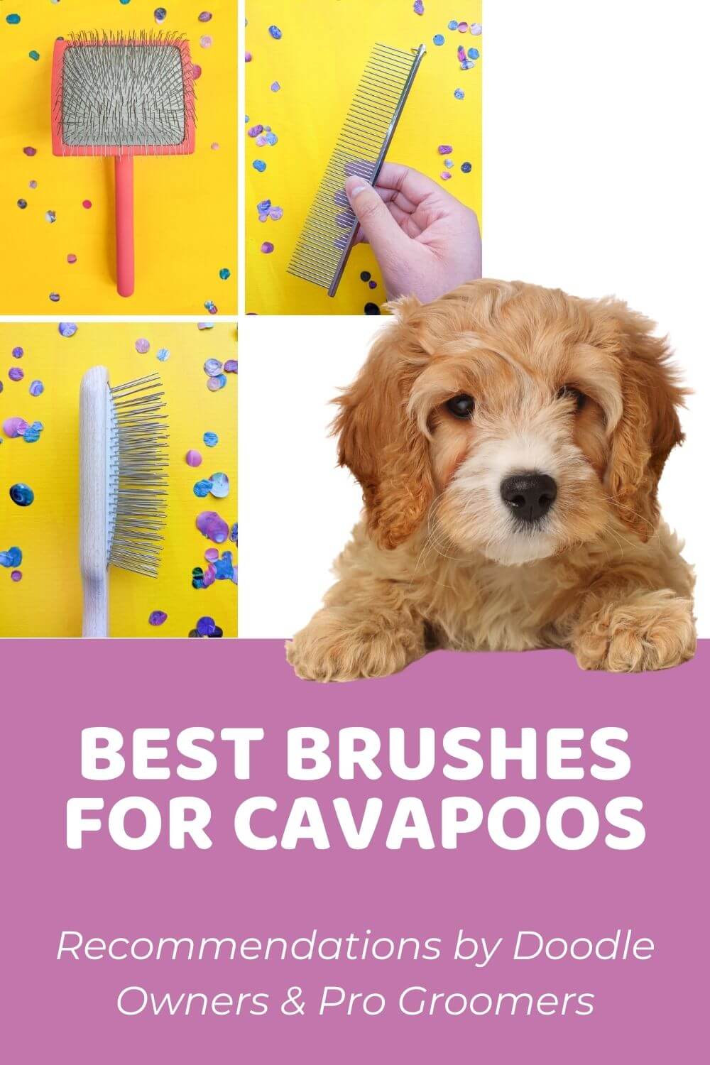 Best Brush for Cavapoo_ Recommendations by Both Doodle Owners and Professional Groomers