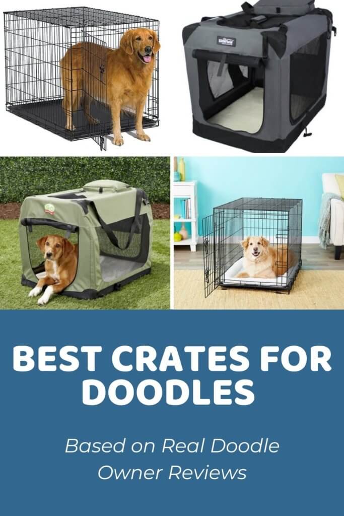 Best Crates for Goldendoodles_ Based on Real Owner Reviews