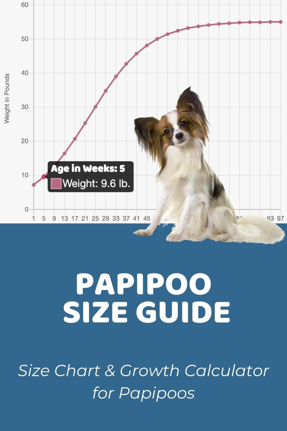 Papipoo Size Chart, Growth Patterns & Growth Calculator