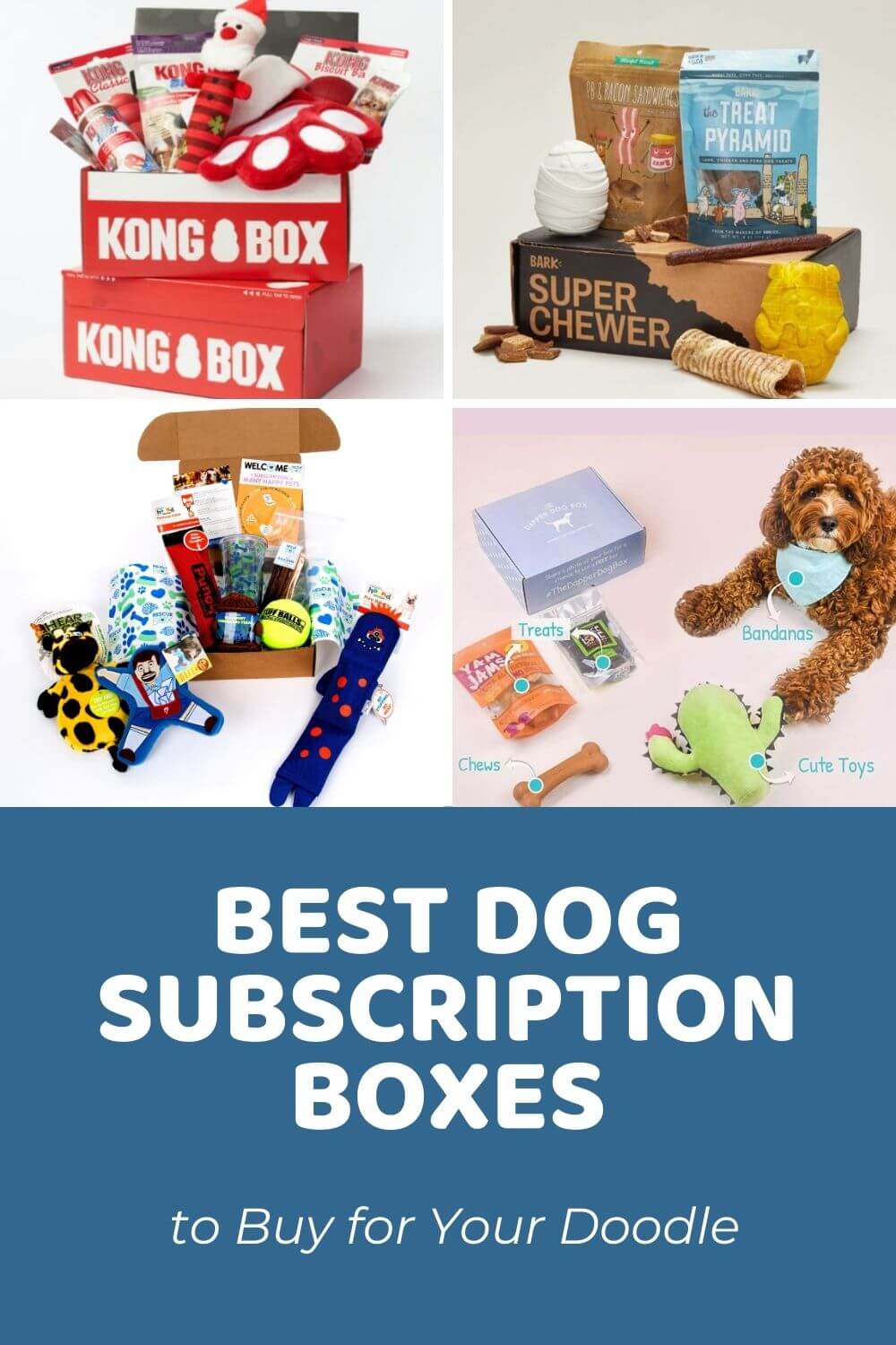 The Best Dog Subscription Box to Buy for Your Doodle