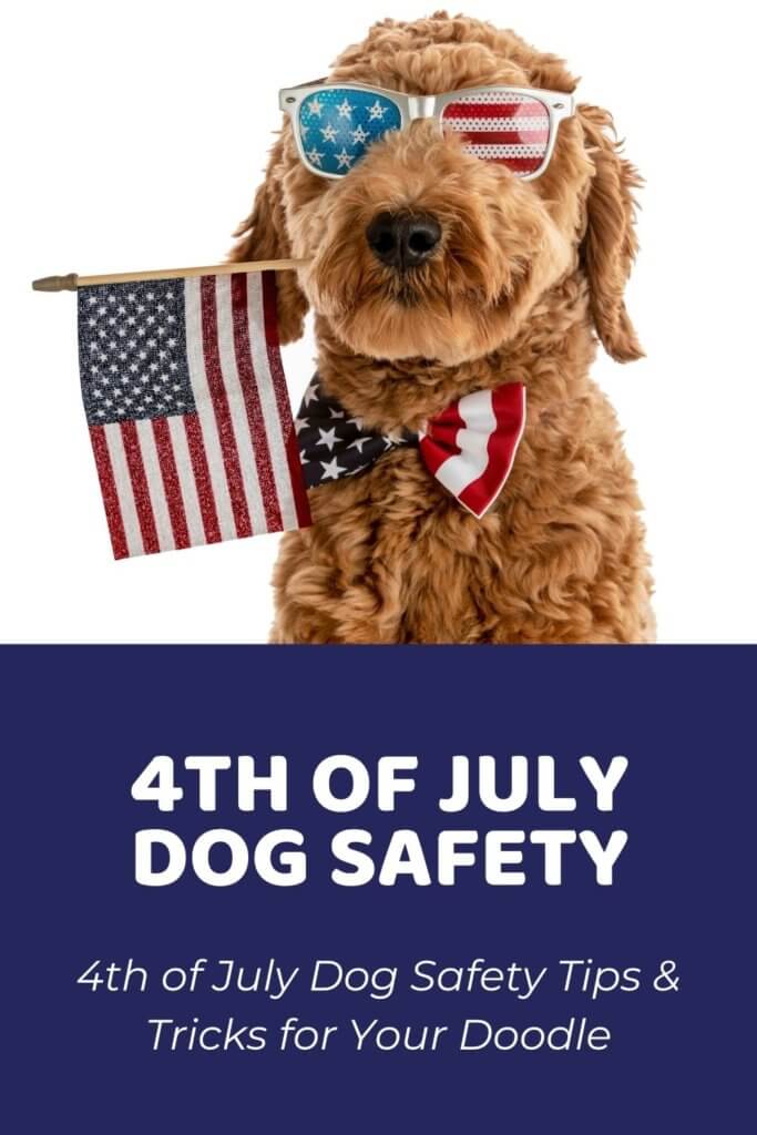 4th of July Dog Safety Tips & Tricks