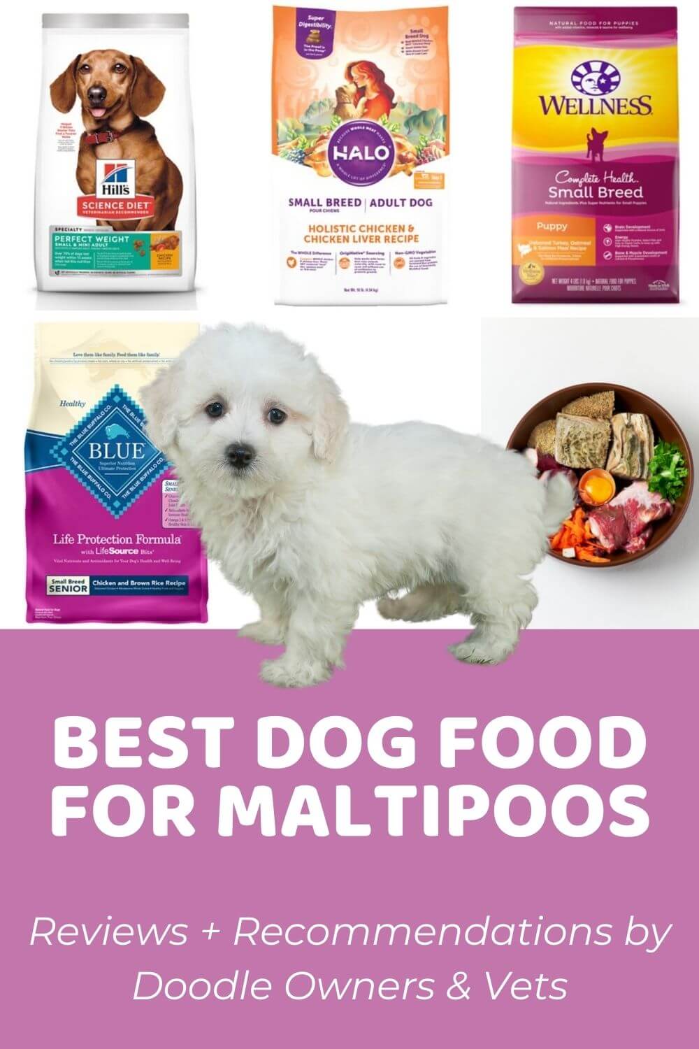 6 Best Dog Food for Maltipoos Based on Real Owner Reviews Reviews + Recommendations by Doodle Owners & Vets