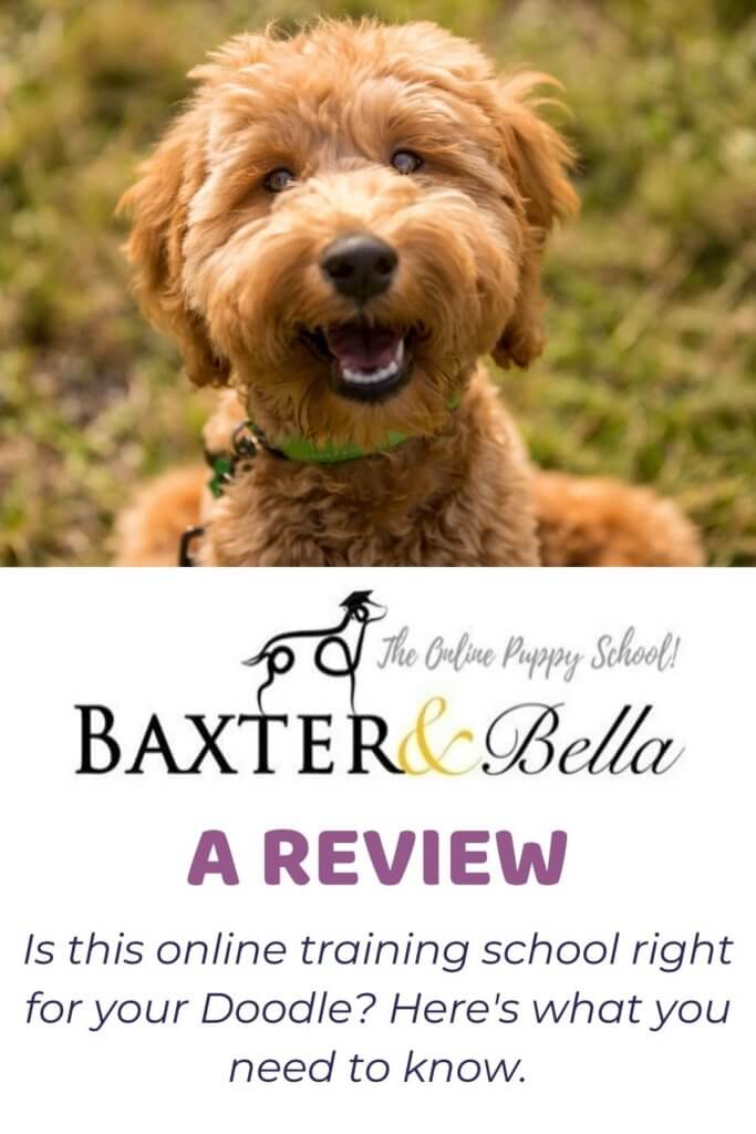 Baxter And Bella Review Online Puppy School Review