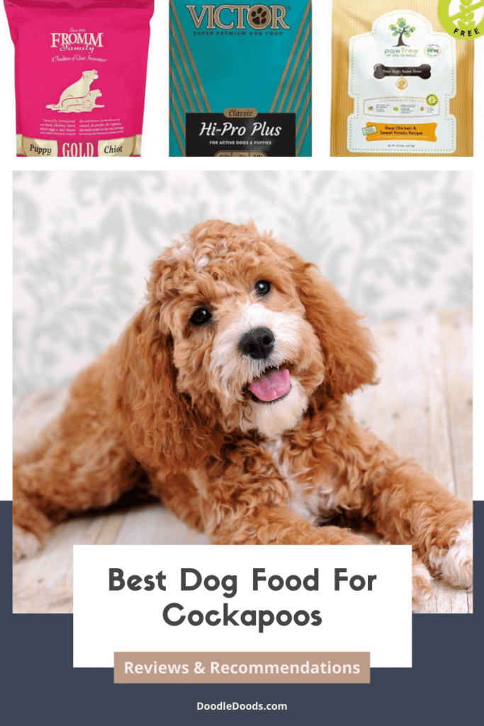 Best Dog Foods For Cockapoos