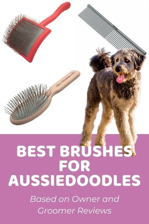 Best Brush for Aussiedoodle Based on Owner and Groomer Reviews