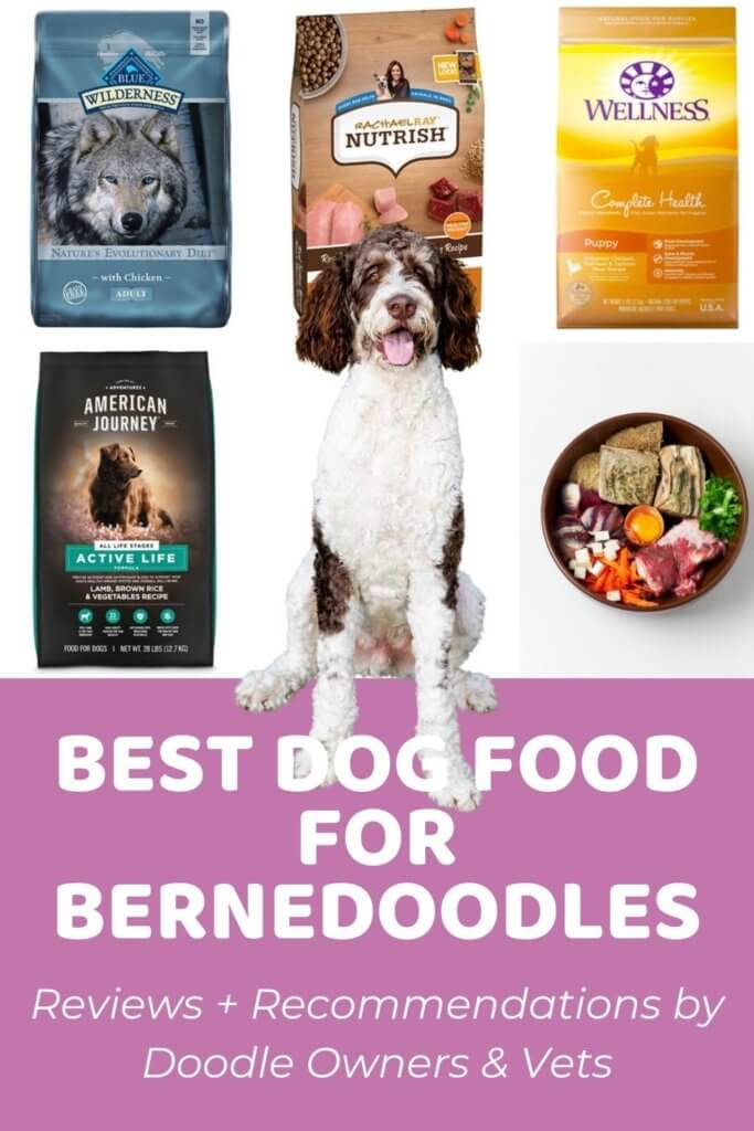 Best Dog Food for Bernedoodles Top 6 Your Bernie Will Absolutely Love Based on Real Owner Reviews Reviews + Recommendations by Doodle Owners & Vets
