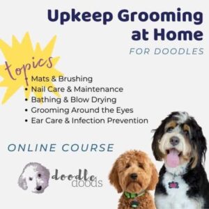 Upkeep Grooming at Home for Doodles product thumbnail