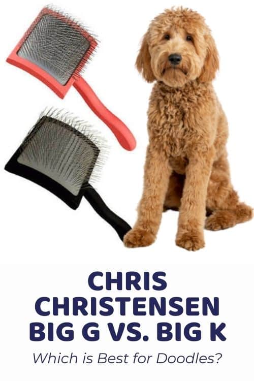 Chris Christensen Big G vs Big K Brush Comparison Which is Best for DoodlesChris Christensen Big G vs Big K Brush Comparison Which is Best for Doodles