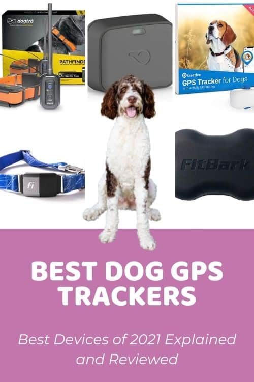 _Best Dog GPS Trackers of 2021 Explained and Reviewed