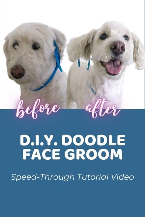 DIY Doodle Face Groom (Speed-Through Tutorial Video)