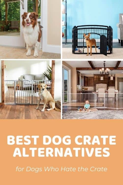 Best Dog Crate Alternatives (for Dogs Who Just Hate the Crate)
