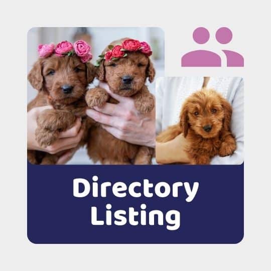 Doodle Doods Breeder Marketing Services - Directory Listing