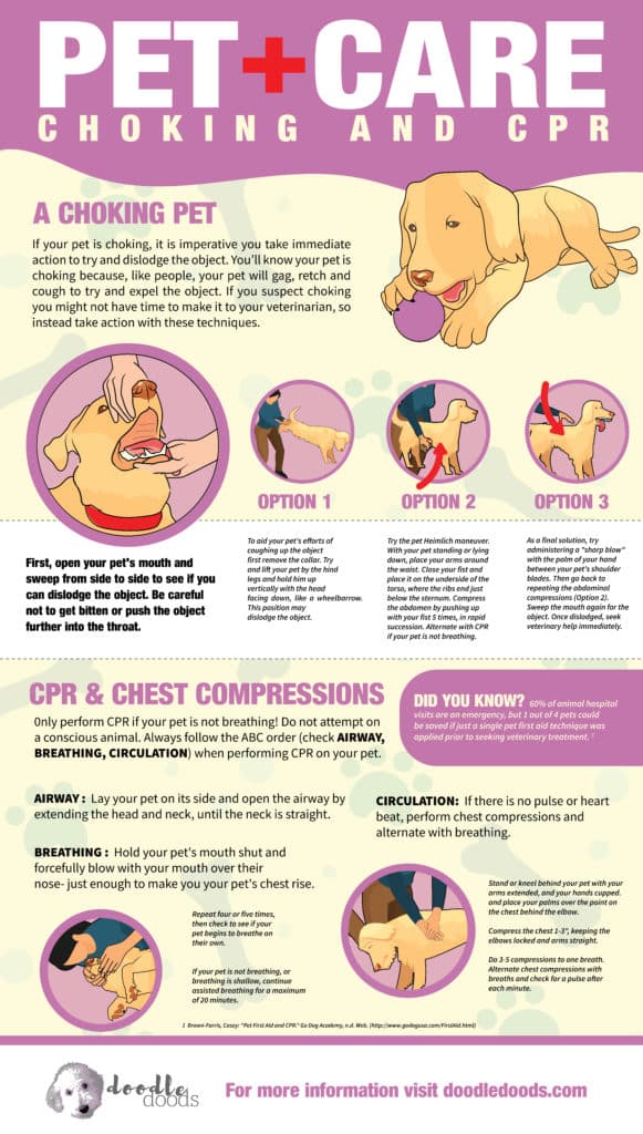 can a dog really perform cpr