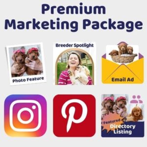 Doodle Doods Breeder Marketing Services - Premium Package New