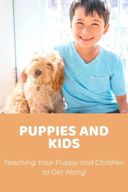 Puppies and Kids Teaching Your Puppy and Children to Get Along