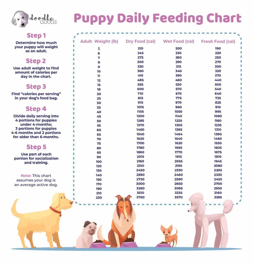 puppy daily feeding chart