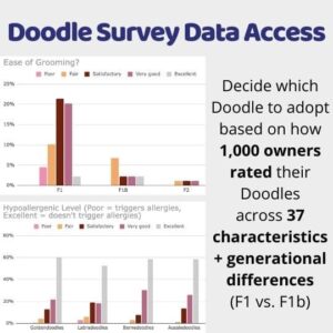 Doodle Survey Data Access