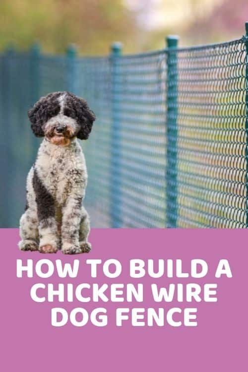 How To Build A Chicken Wire Dog Fence