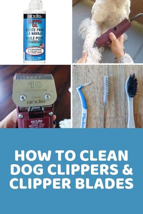 Best Clippers For Thick Hair: Top Picks For Dogs With Thick Coats - Doodle  Doods