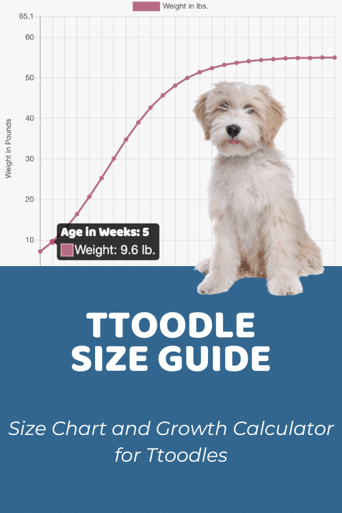 Ttoodle Size Chart, Growth Patterns, and Weight CalculatorTiboodle Size Chart, Growth Patterns, and Weight Calculator