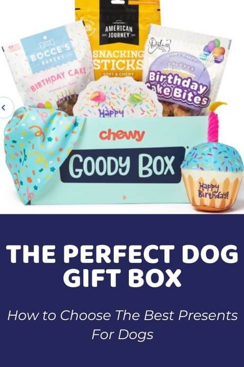The Perfect Dog Gift Box Ultimate Guide On Choosing The Best Presents For Dogs