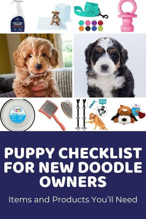 Puppy Checklist for New Doodle Owners Items and Products You’ll Need