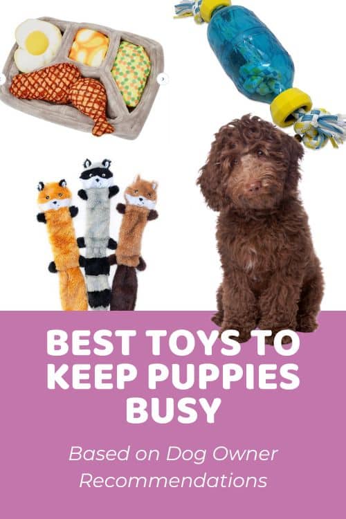 9 Best Toys To Keep Puppies Busy As Recommended By Doodle Owners