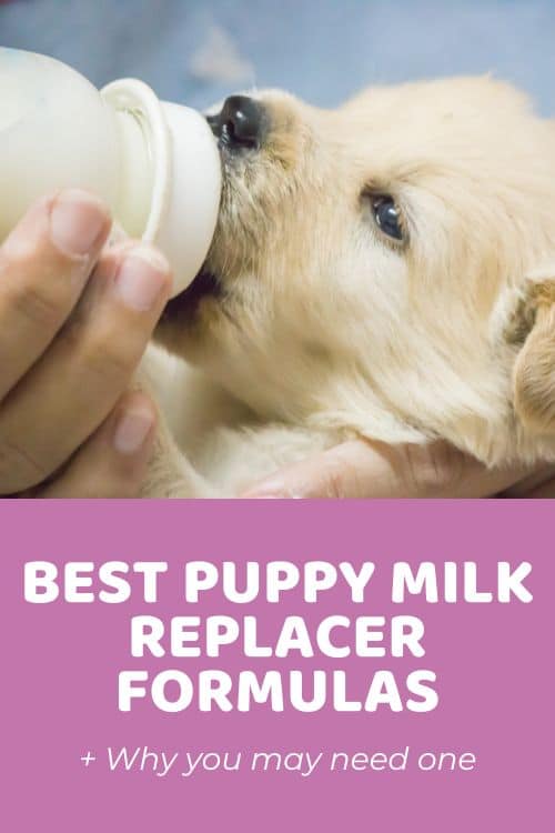 Top Best Puppy Milk Replacer Formulas