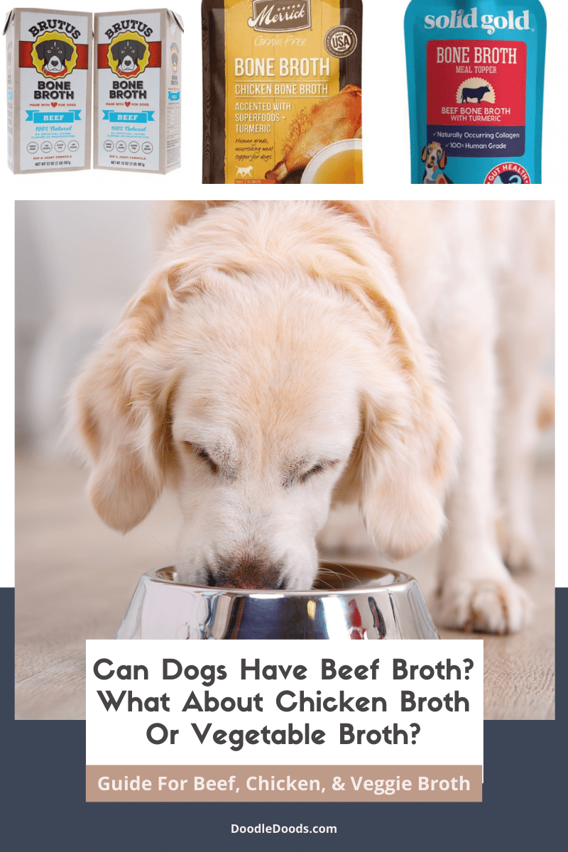 Can Dogs Have Broth?
