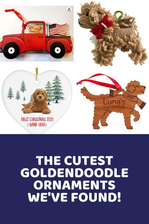 Cutest Goldendoodle Ornament Buying Guide For The Holiday Season