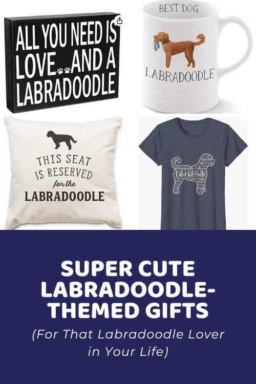 Super Cute Labradoodle Gift Ideas for That Labradoodle Lover in Your Life