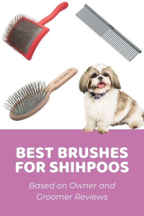 Best Brush for Shihpoo Based on Owner and Groomer Reviews