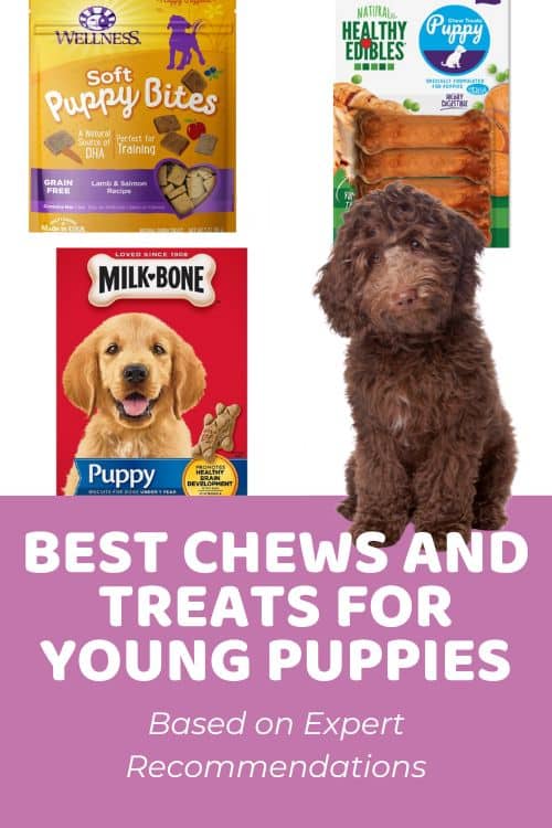 Best Chews and Treats For Puppies Under 3 Months Expert Recommended