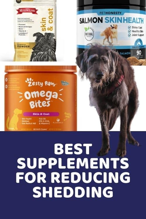 Best Supplements For Reducing Dog Shedding Owner Reviewed