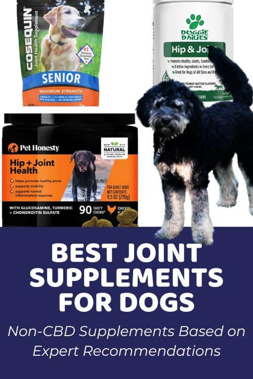 Expert Recommendations on Best Joint Supplements for Dogs (Non-CBD)