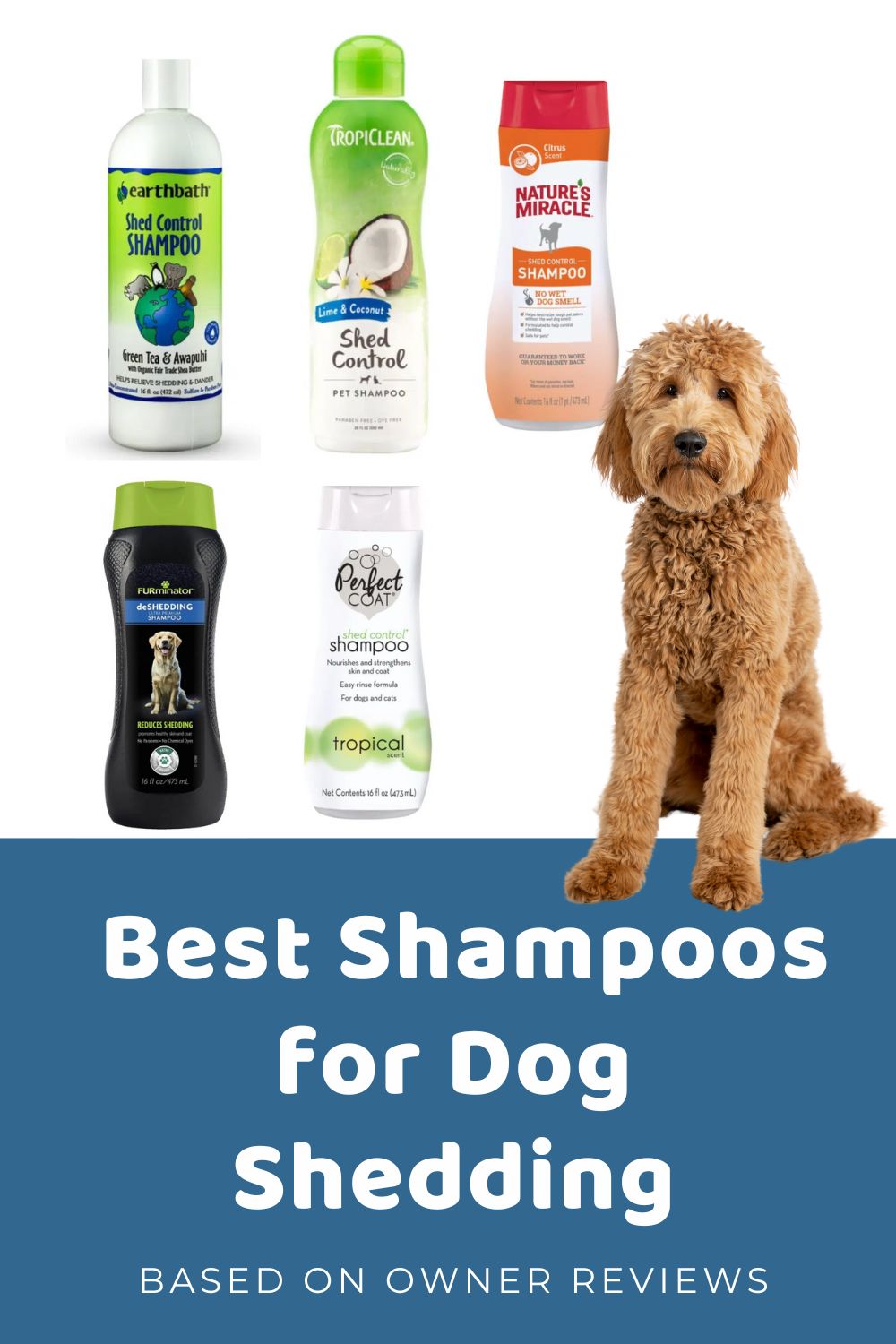 5 best deshedding dog shampoo: Doodle Parent Recommended