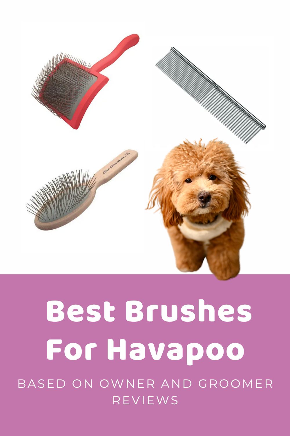 Best Brush For Havapoo Recommended By Pro Groomers & Doodle Owners!