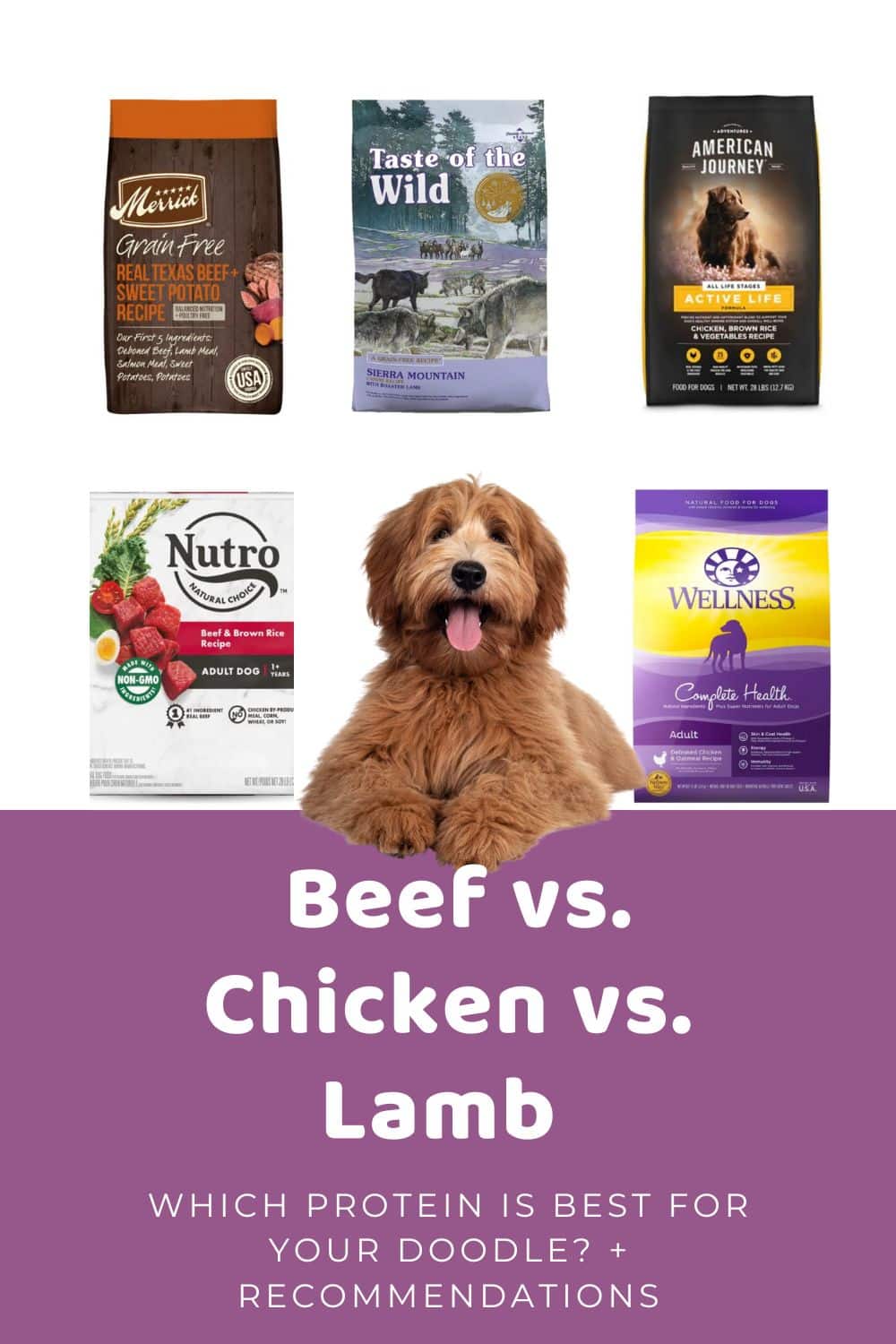 Beef vs Chicken vs Lamb Dog Food Which is Best