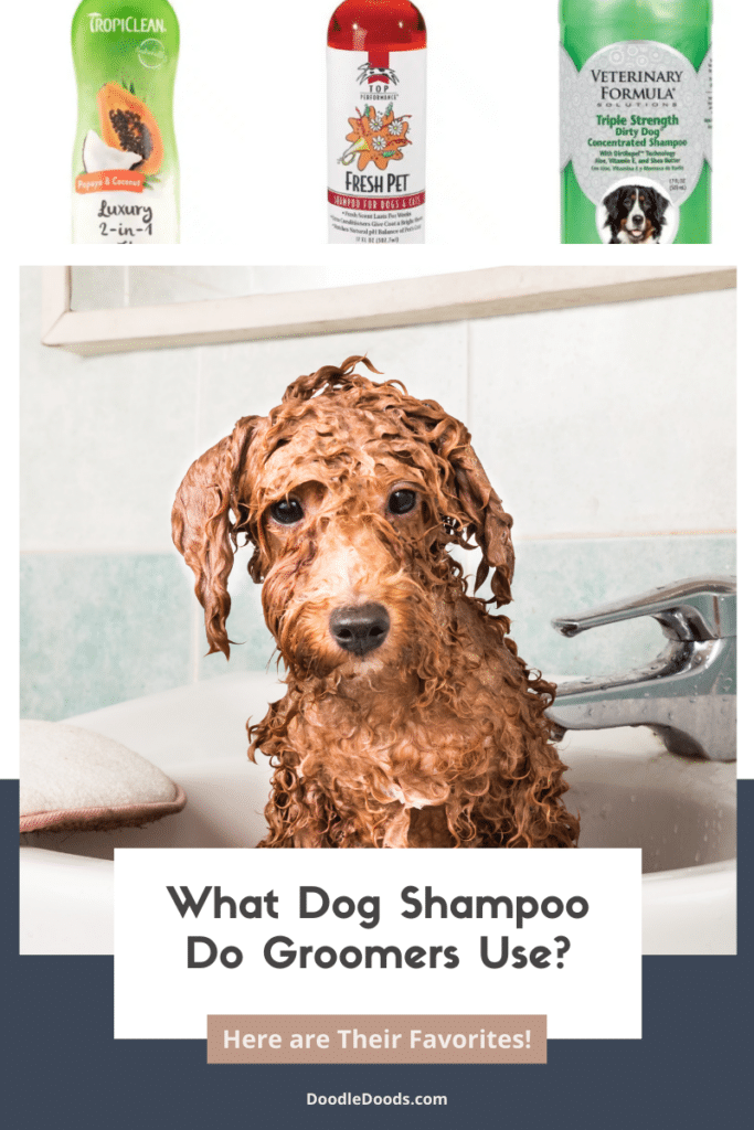 What Dog Shampoo Do Groomers Use