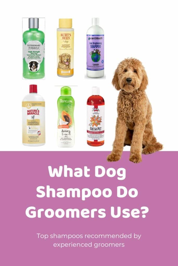 What Dog Shampoo Do Groomers Use